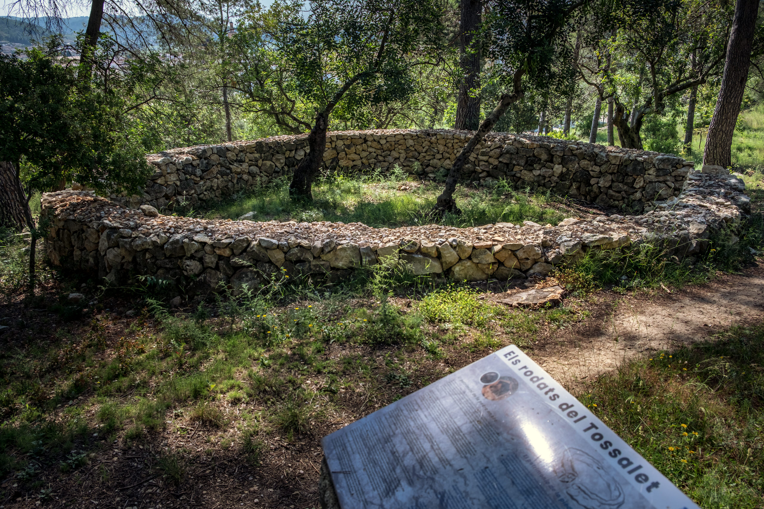 Macma Descubrimos La Marina Alta Parc Del Tossalet