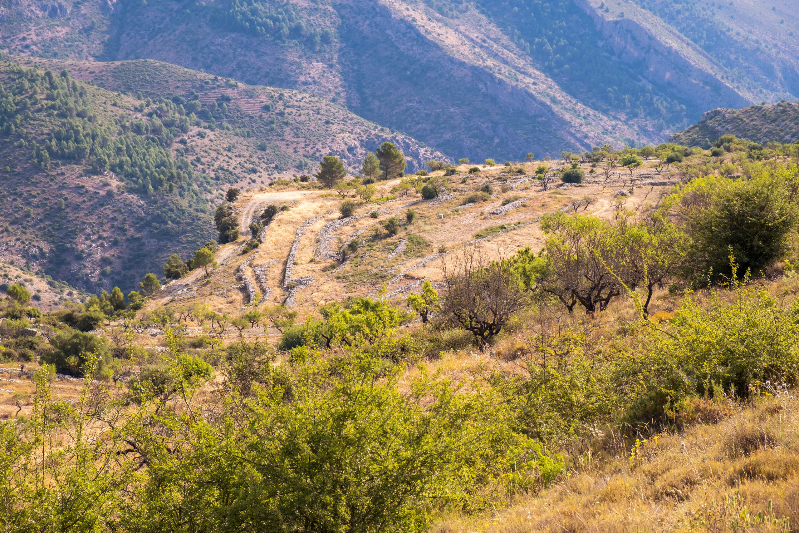 MACMA Descubrimos la Marina Alta PRCV 181 La Volta a la Llacuna